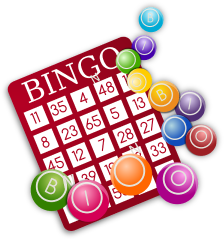 bingo-about